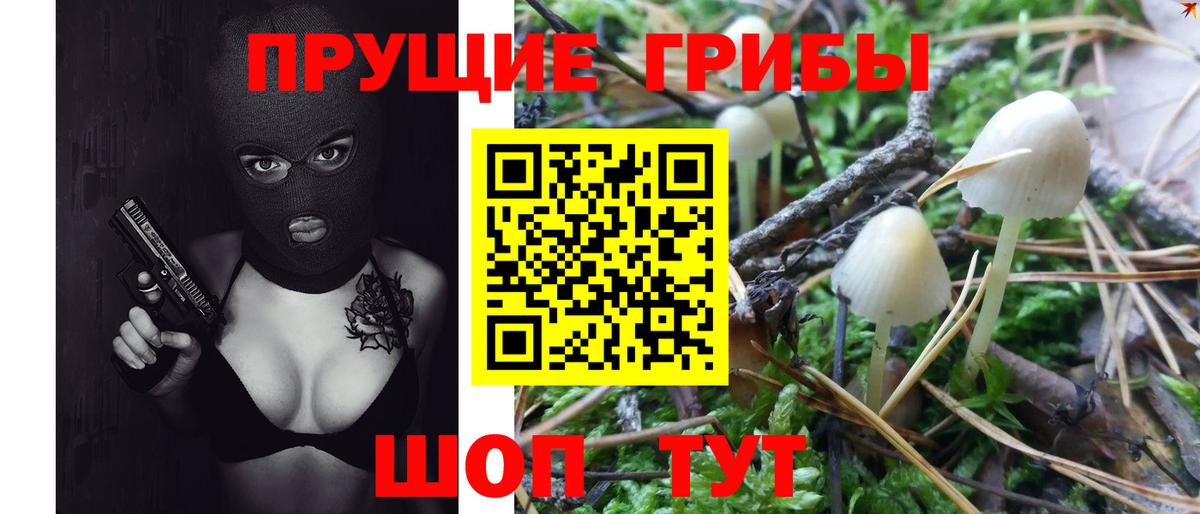 Псилоцибиновые грибы Cubensis Шумерля