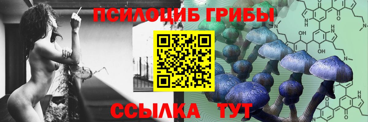 Псилоцибиновые грибы мицелий  Вход с VPN  Шумерля 